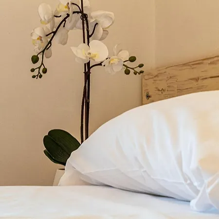 Il Cammino Nocleg ze śniadaniem