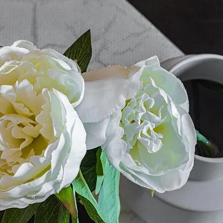 Alojamento de Acomodação e Pequeno-almoço Il Cammino 4*