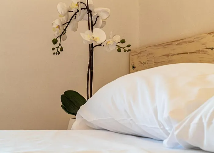 Il Cammino Bed & Breakfast