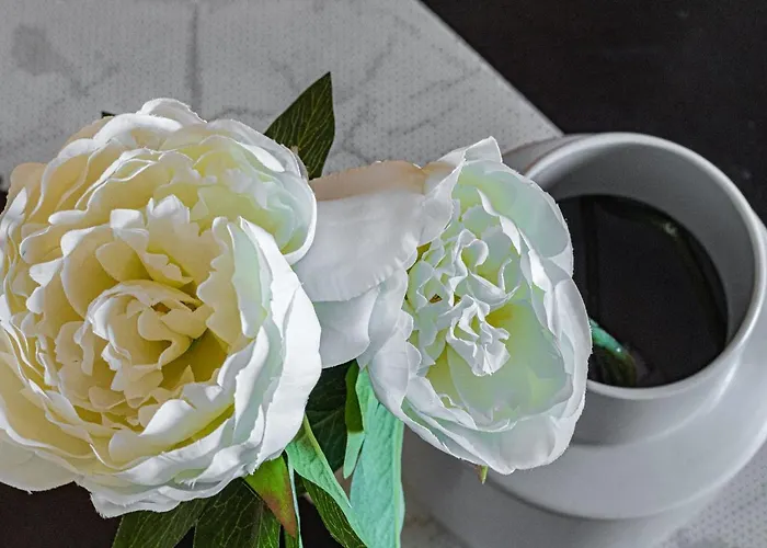 Bed & Breakfast Il Cammino 4*